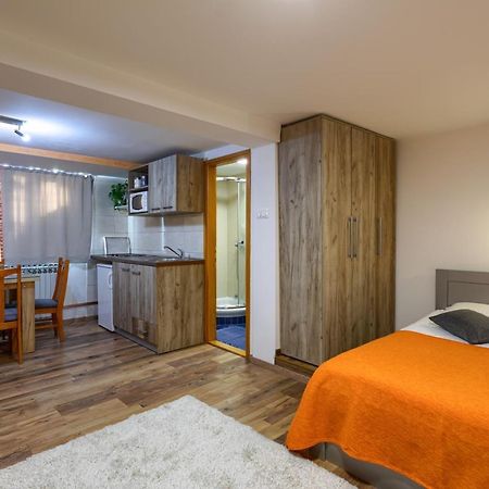 Vila Aleksandra Zlatibor Exteriér fotografie
